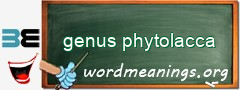 WordMeaning blackboard for genus phytolacca